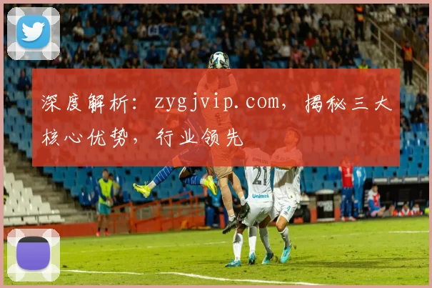 深度解析：zygjvip.com，揭秘三大核心优势，行业领先