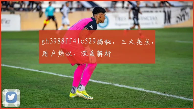 gh3988ff41c529揭秘，三大亮点，用户热议，深度解析